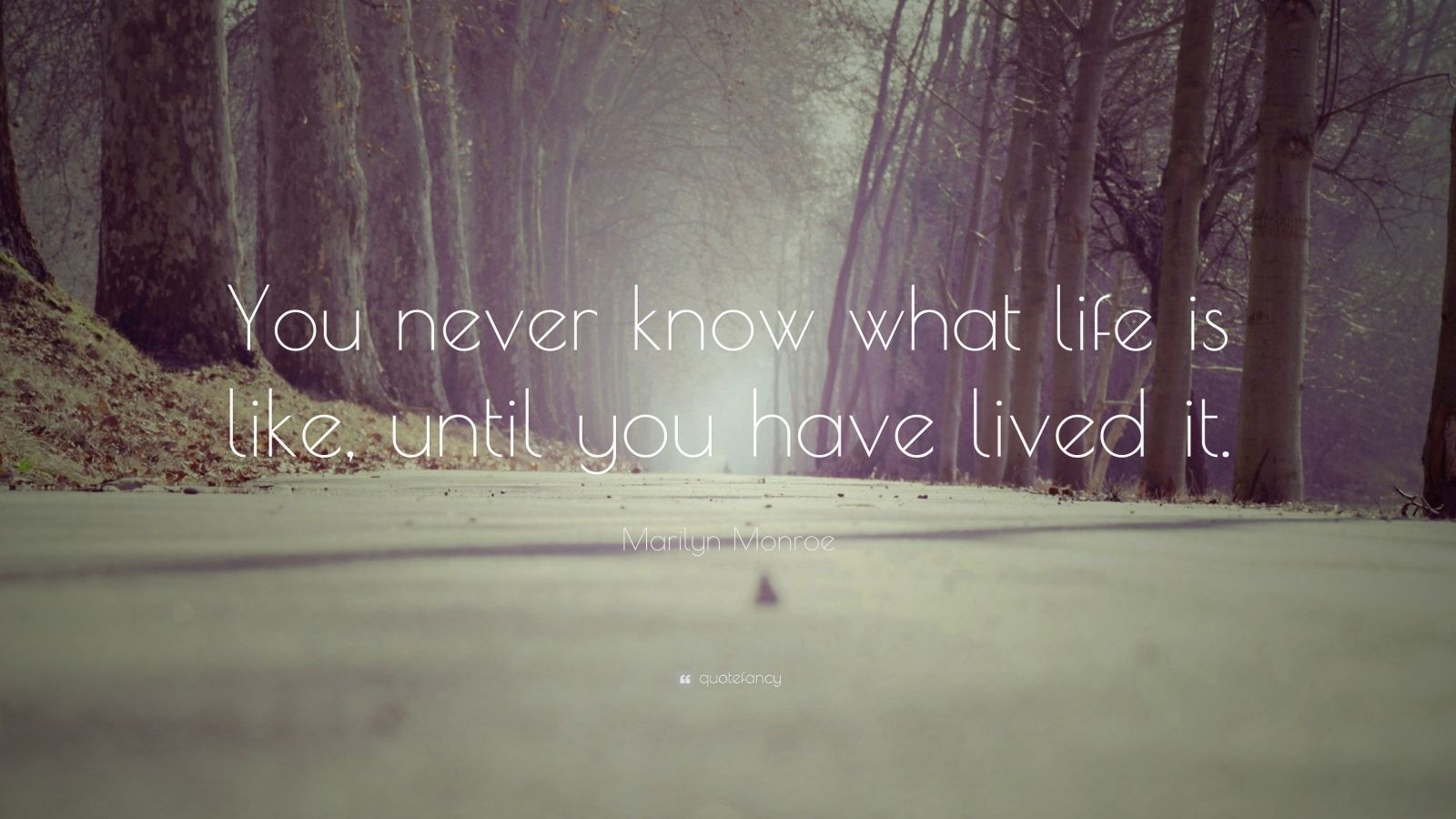 Marilyn Monroe Quote “You never know what life is like until you have