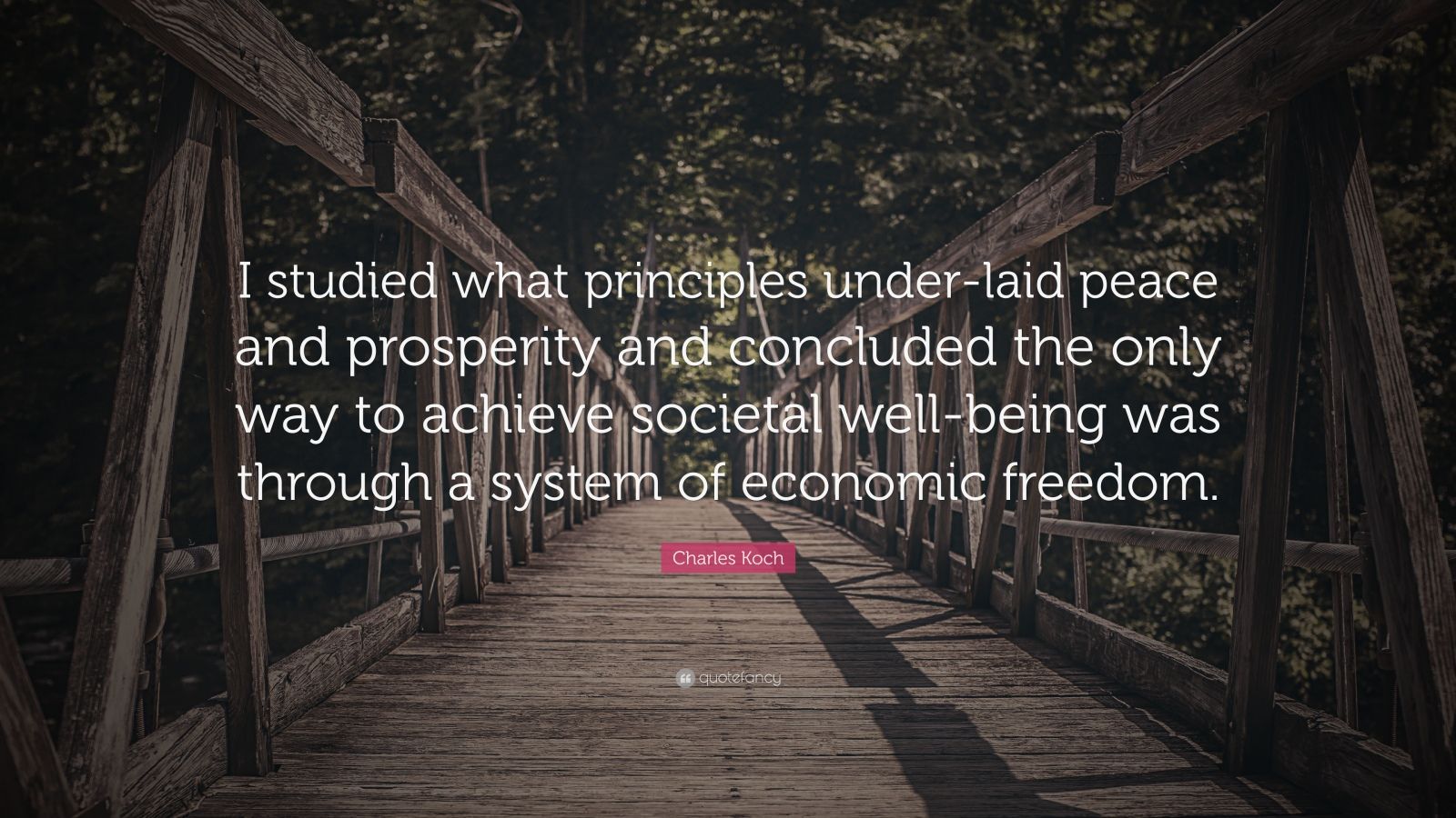 Charles Koch Quote: “I Studied What Principles Under-laid Peace And ...