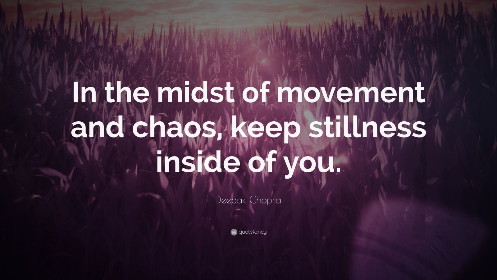 Deepak Chopra Quote: “In the midst of movement and chaos, keep ...