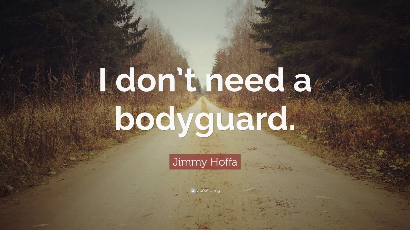 Jimmy Hoffa Quote “I don’t need a bodyguard.” (7 wallpapers) Quotefancy