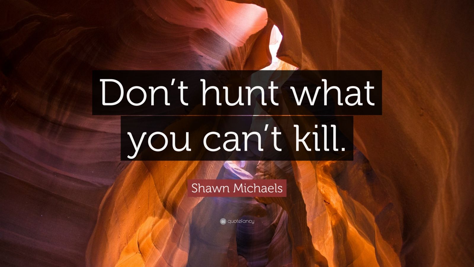 Shawn Michaels Quote “Don’t hunt what you can’t kill.” (12 wallpapers