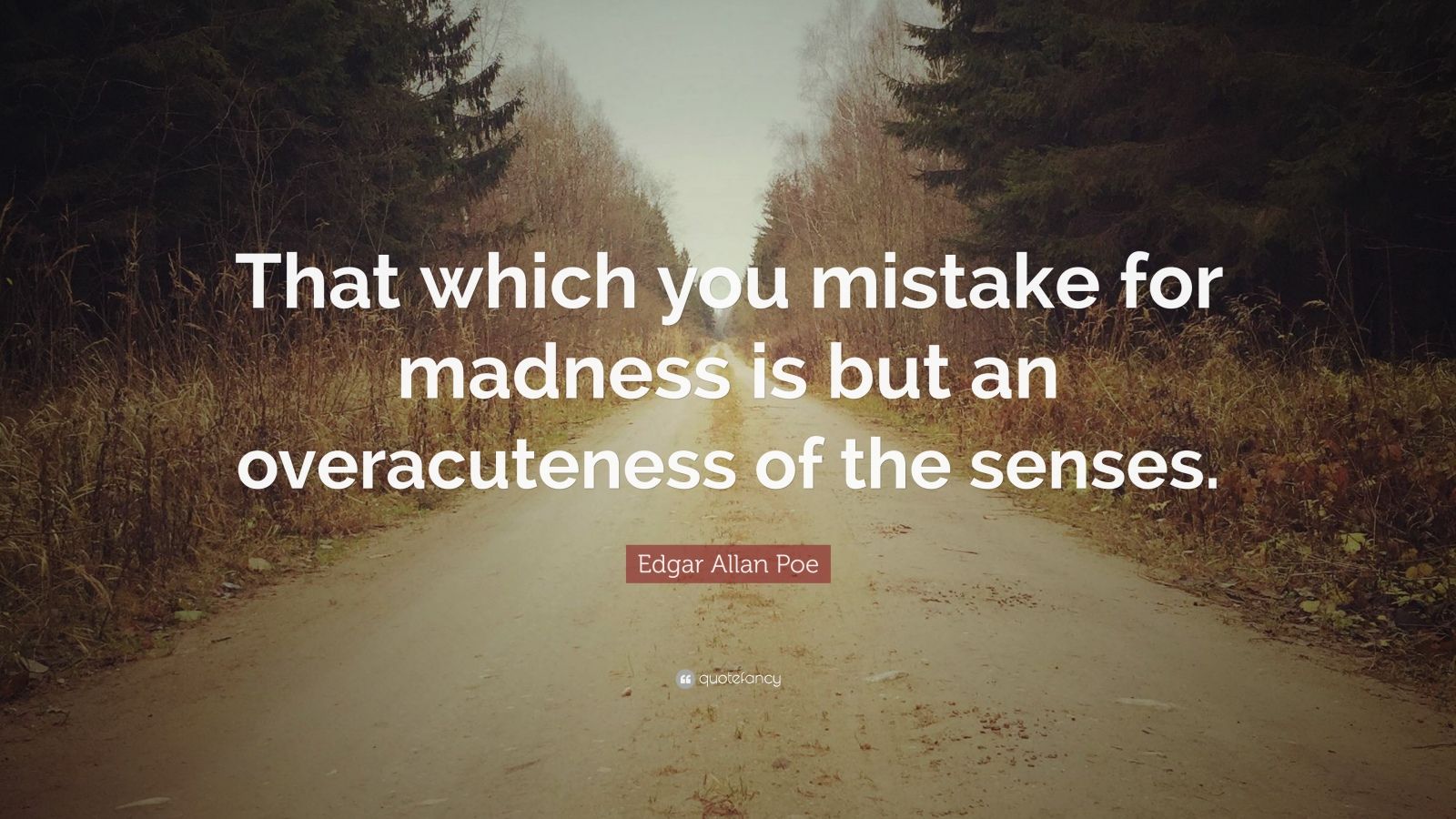 Edgar Allan Poe Quote: “That which you mistake for madness is but an ...