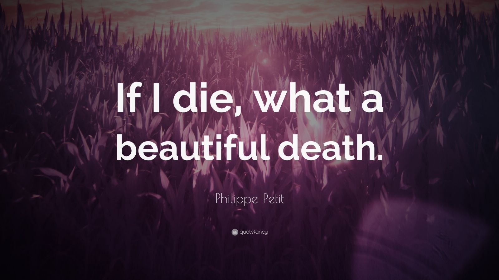 Philippe Petit Quote: “If I die, what a beautiful death.” (7 wallpapers ...