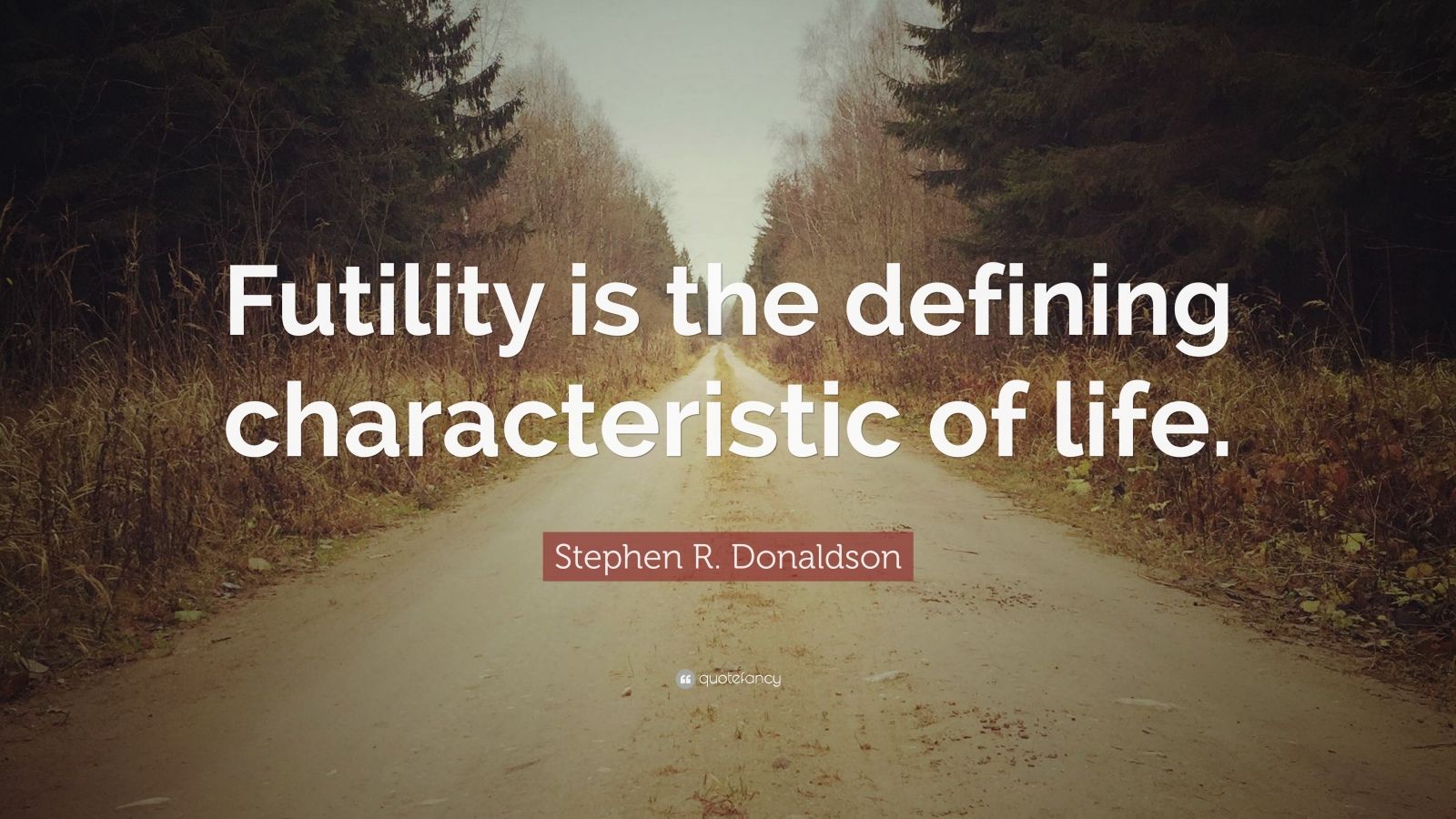 Stephen R. Donaldson Quote “Futility is the defining characteristic of