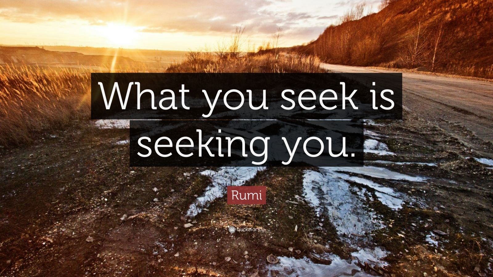 Rumi Quote: “What you seek is seeking you.” (23 wallpapers) - Quotefancy