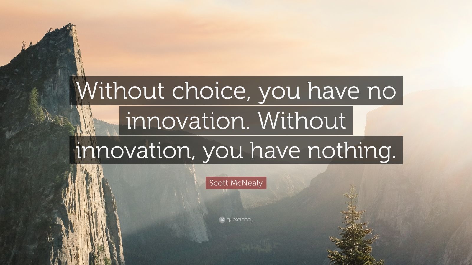 Scott McNealy Quote: “Without choice, you have no innovation. Without ...