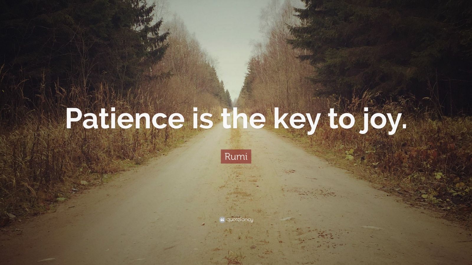 Rumi Quote “Patience is the key to joy.” (12 wallpapers) Quotefancy