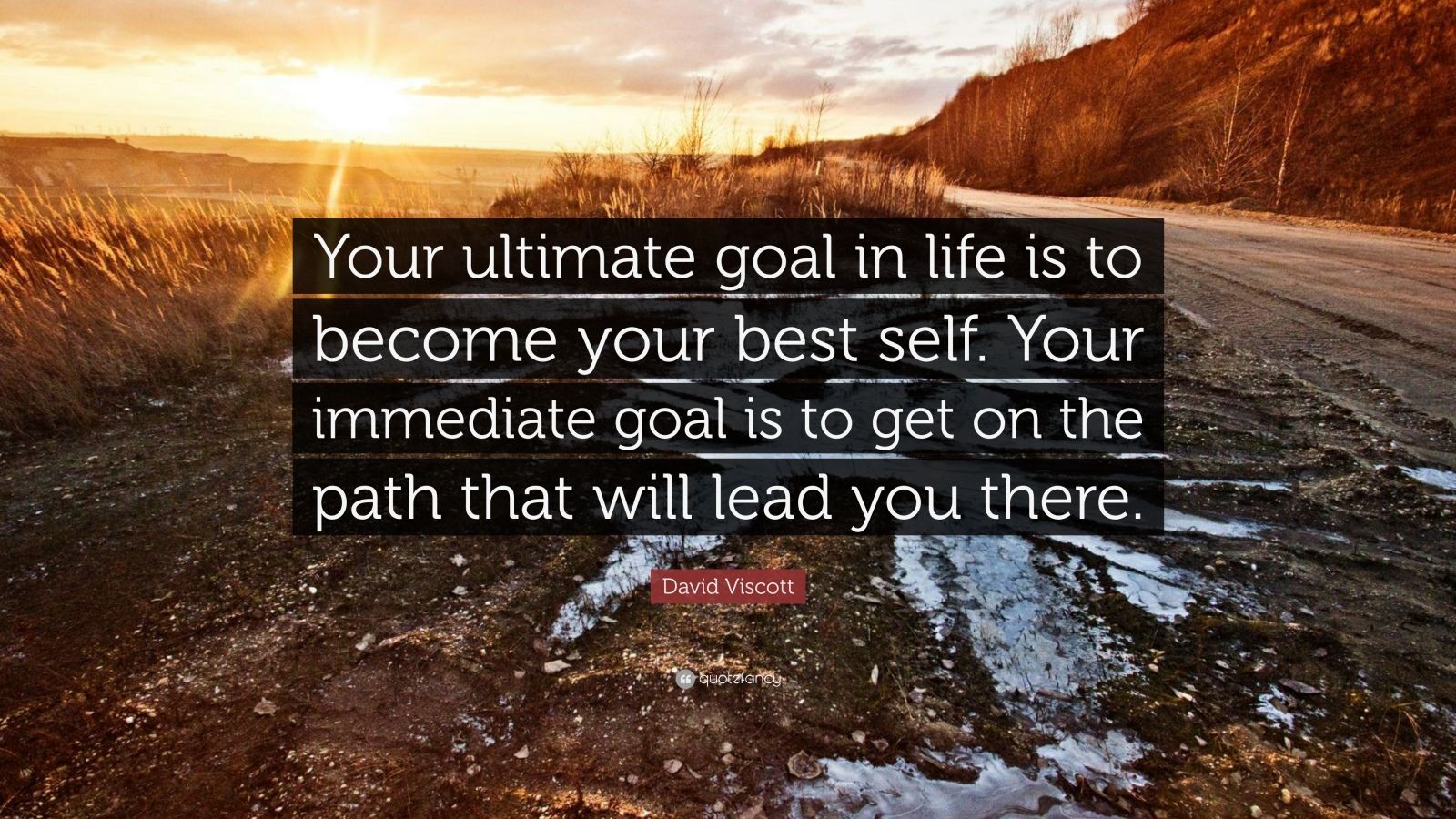 David Viscott Quote: “Your ultimate goal in life is to become your best ...