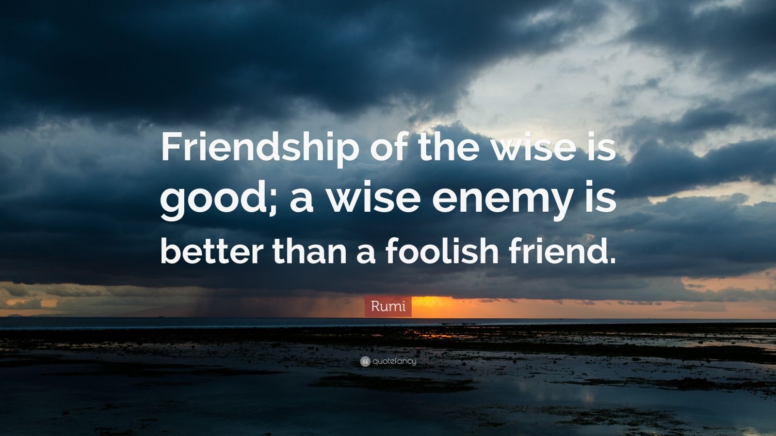 Rumi Quote “Friendship of the wise is good; a wise enemy is better than a foolish friend.” (12