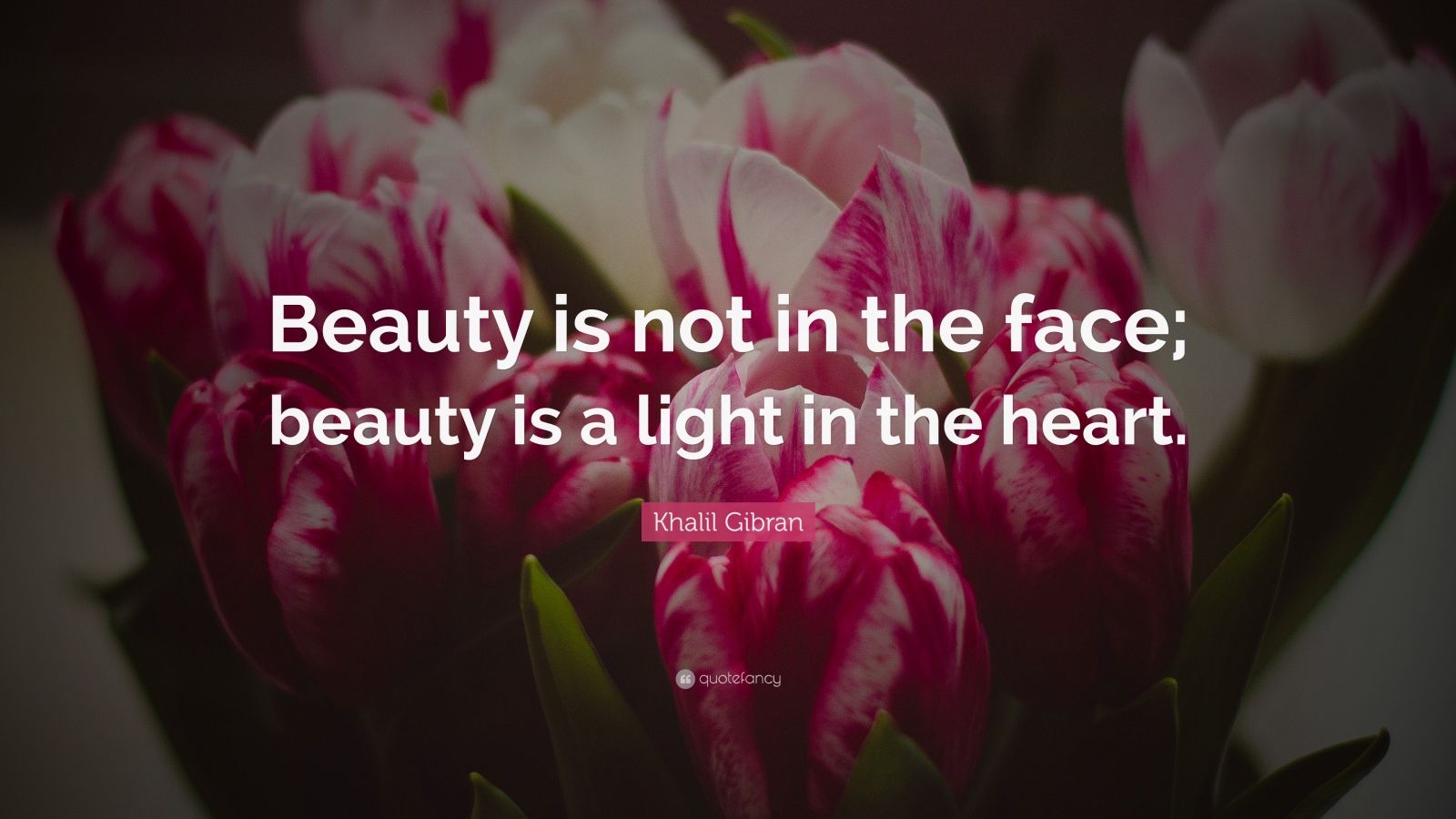 Khalil Gibran Quote: “Beauty is not in the face; beauty is a light in