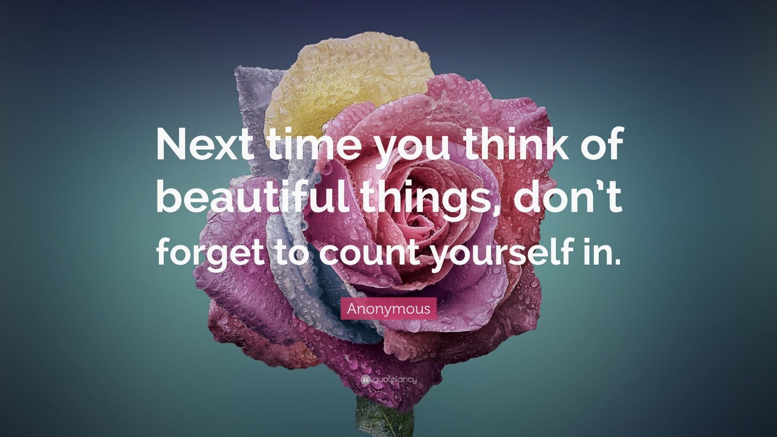 Top 30 Beauty Quotes 2024 Update QuoteFancy