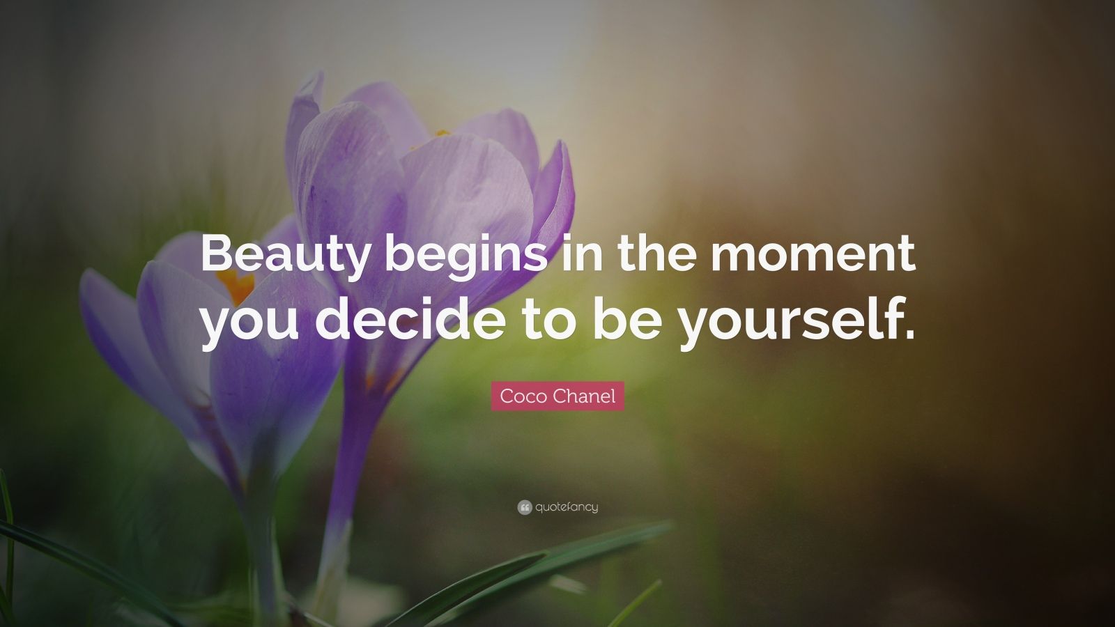 Coco Chanel Quote: “Beauty begins in the moment you decide to be ...