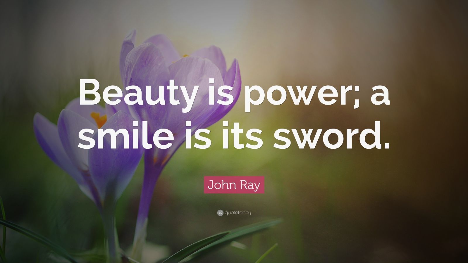 John Ray Quote: “Beauty is power; a smile is its sword.” (21 wallpapers ...