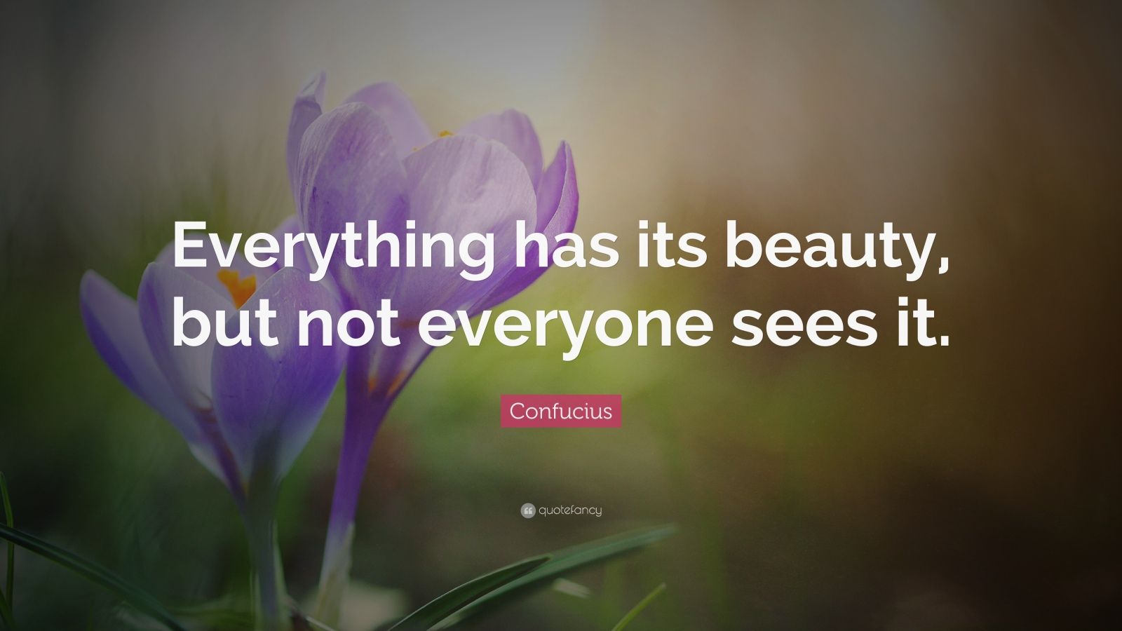 Confucius Quote: “Everything has its beauty, but not everyone sees it ...