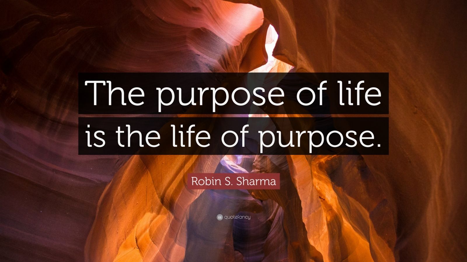 Robin S. Sharma Quote “The purpose of life is the life of purpose