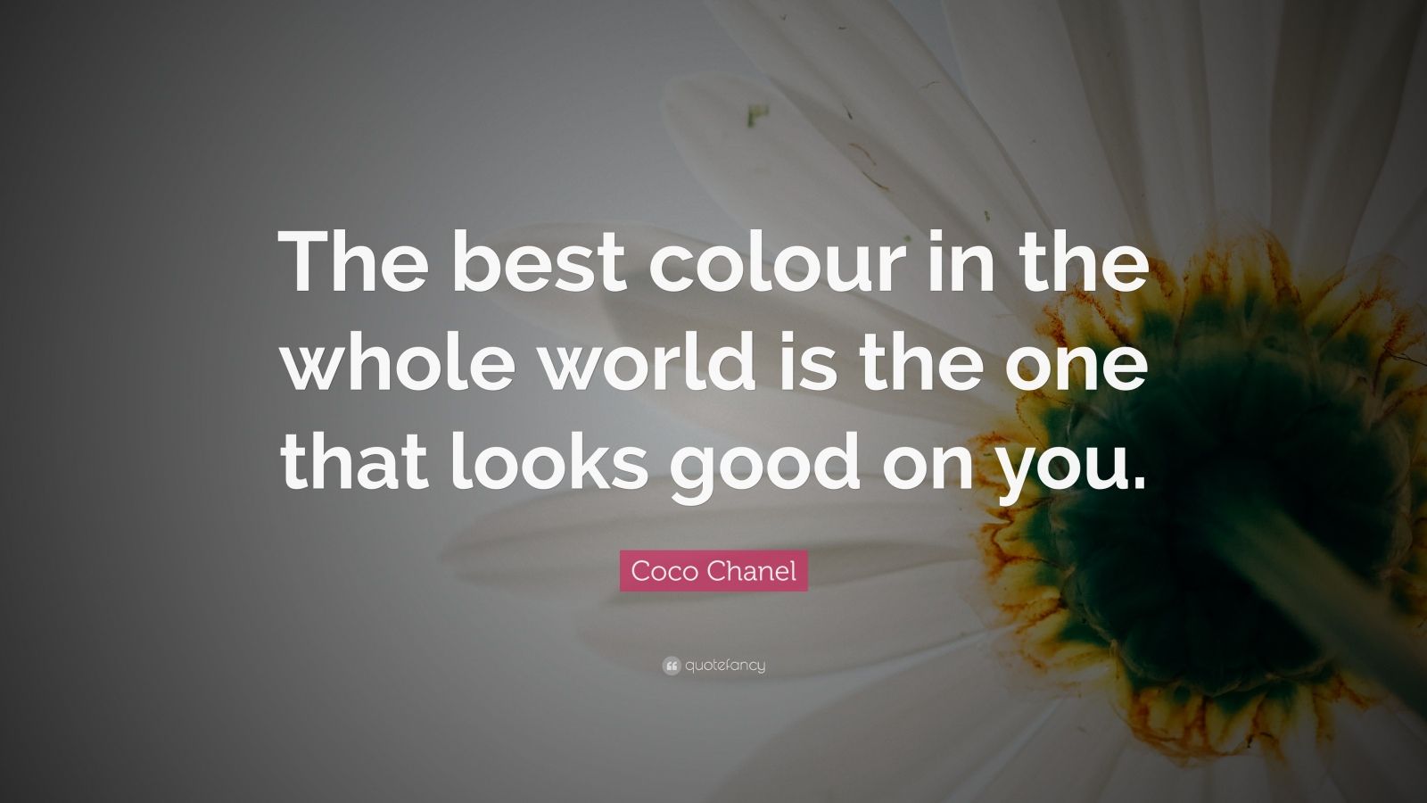 #WiseWednesday “The best color in the whole world is the one that looks good  on you.” — Coco Chanel