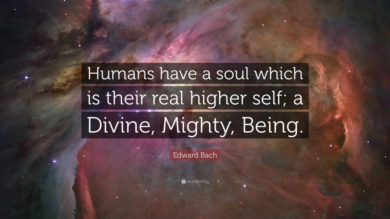 Edward Bach Quote: “Humans have a soul which is their real higher self ...