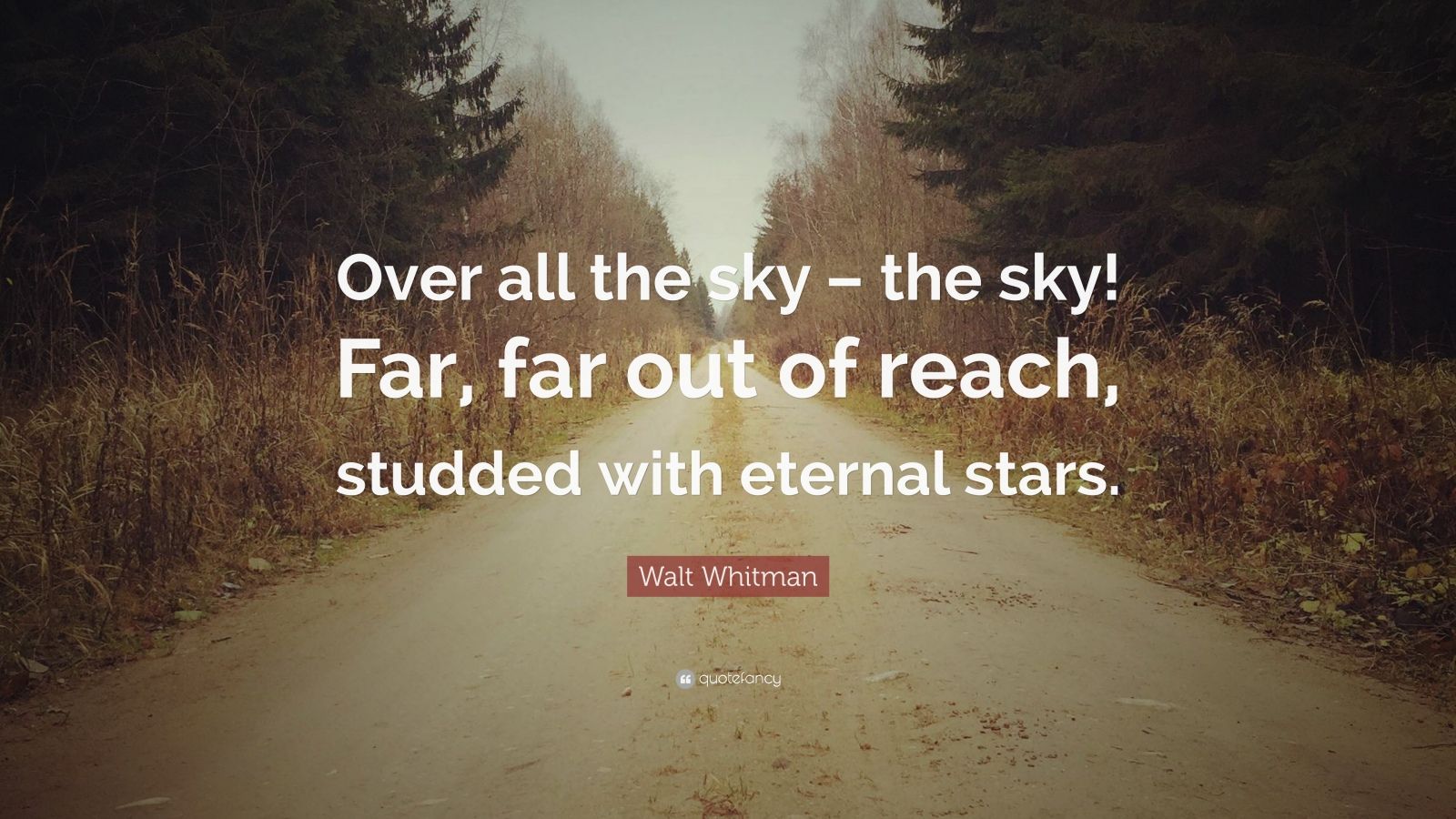 Walt Whitman Quote: “Over all the sky – the sky! Far, far out of reach ...