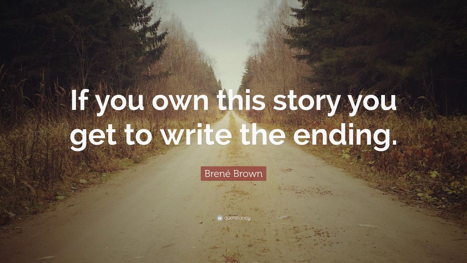 Brené Brown Quote: “If you own this story you get to write the ending.”