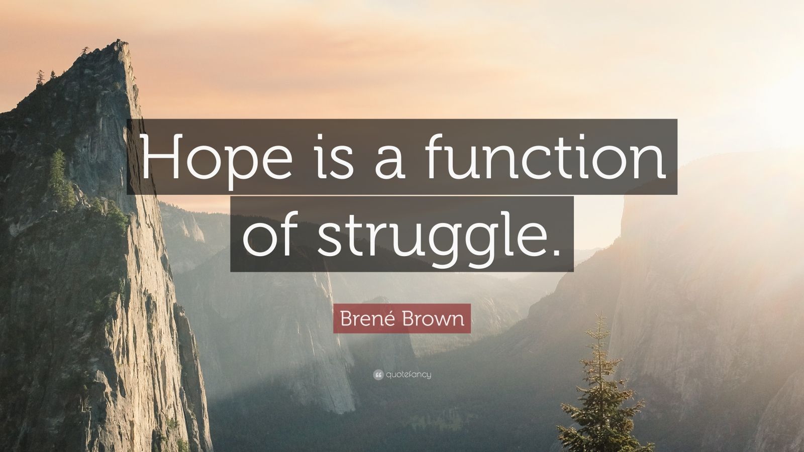 Brené Brown Quote: 