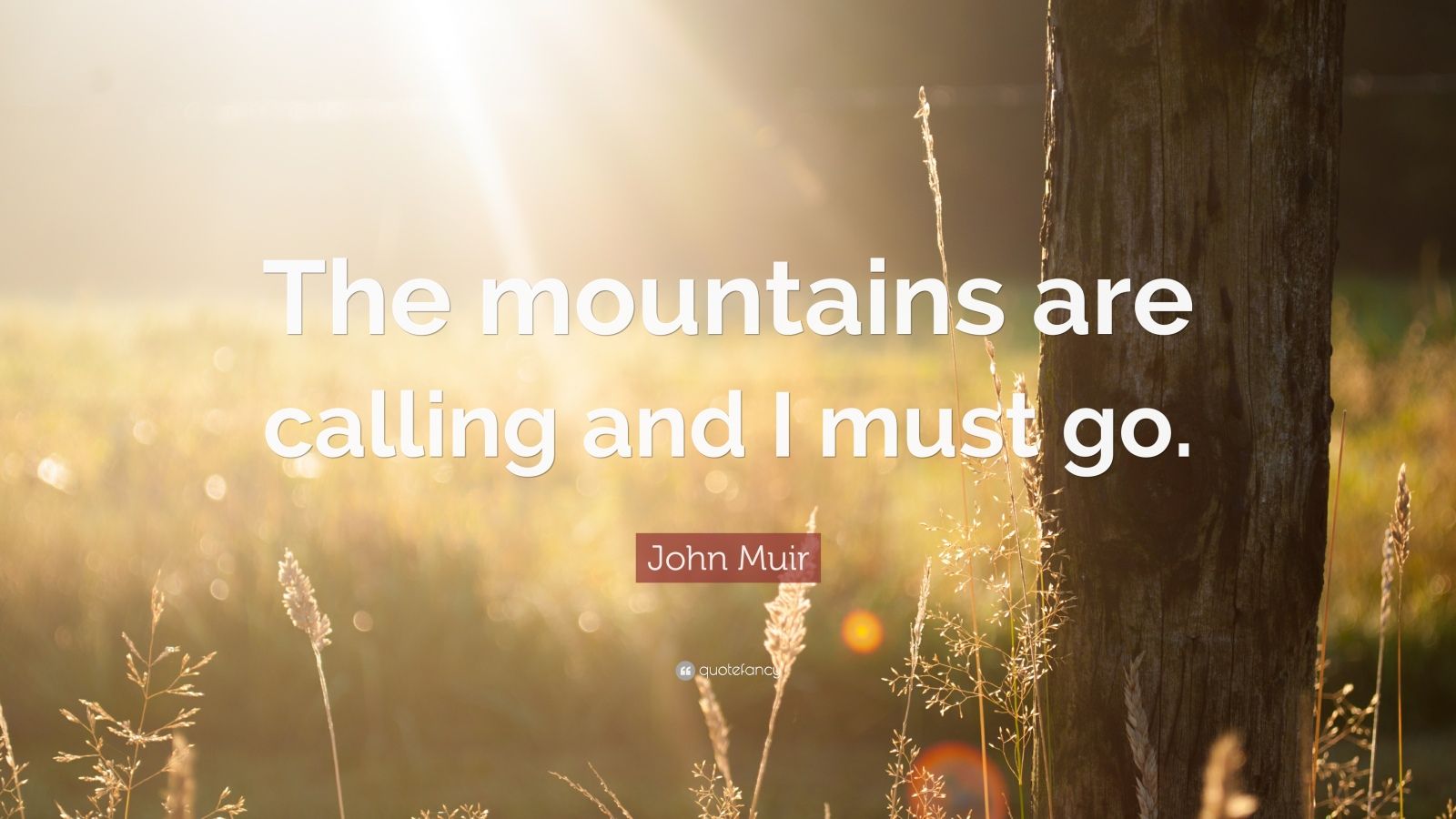 John Muir Quote: 