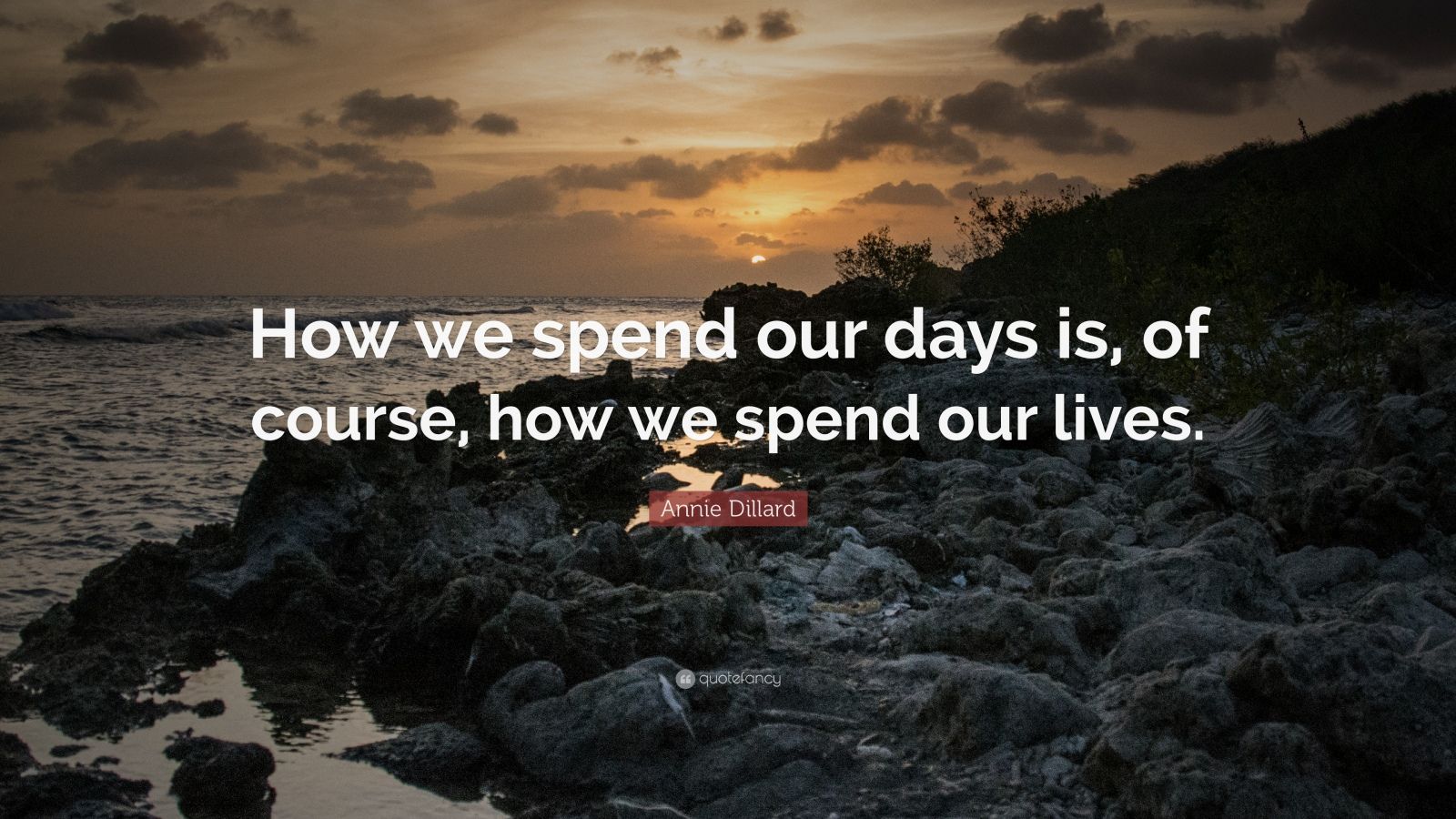 we spend most of our lives slowed