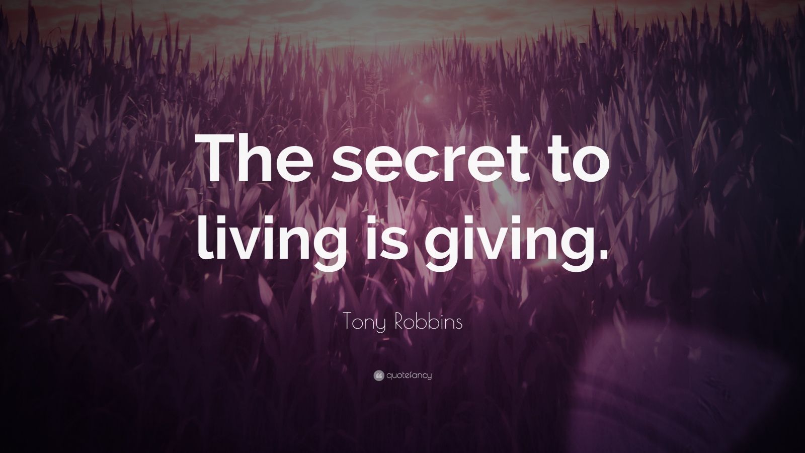 Tony Robbins Quote: 