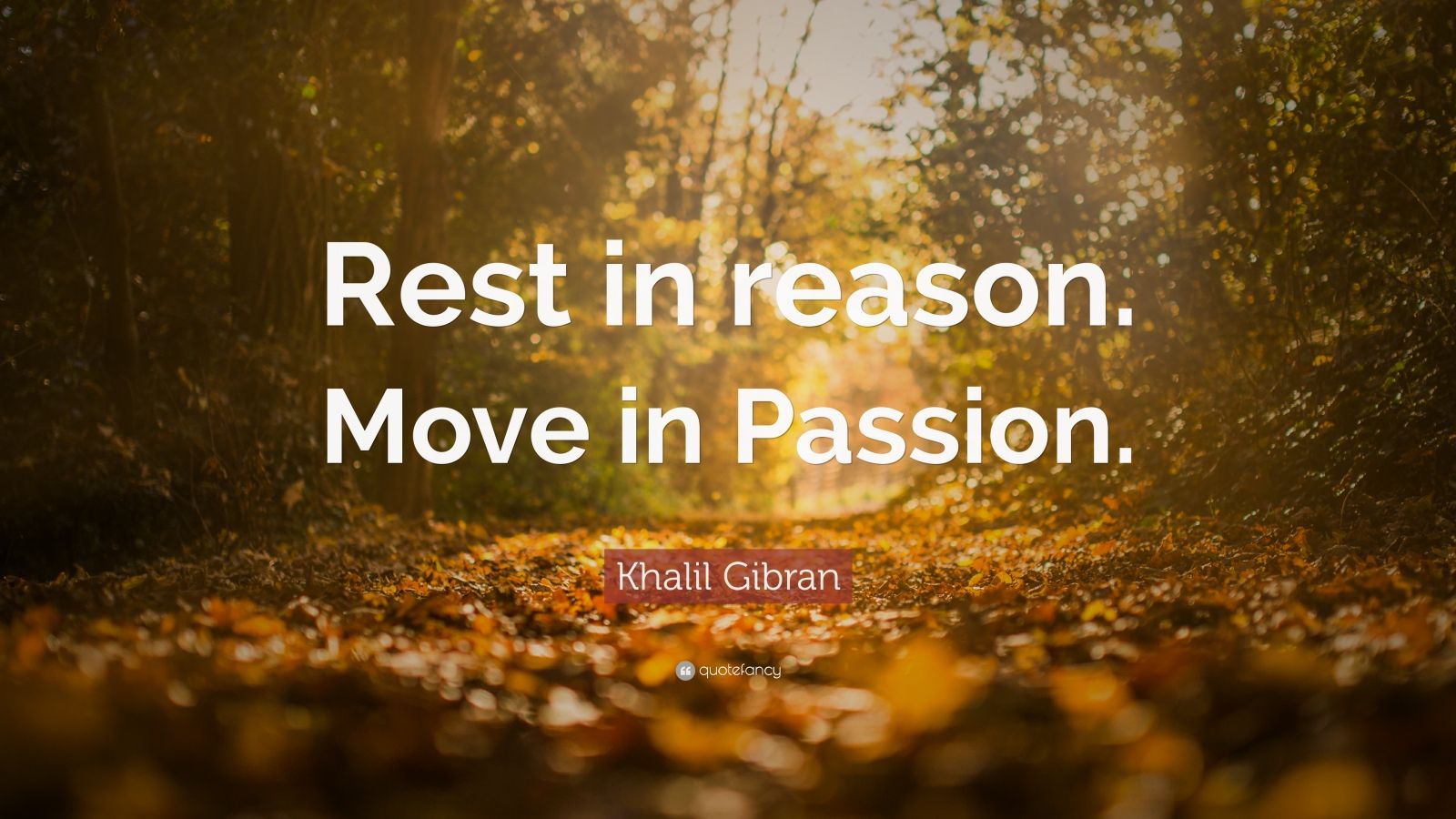 Khalil Gibran Quote “Rest in reason. Move in Passion.” (12 wallpapers