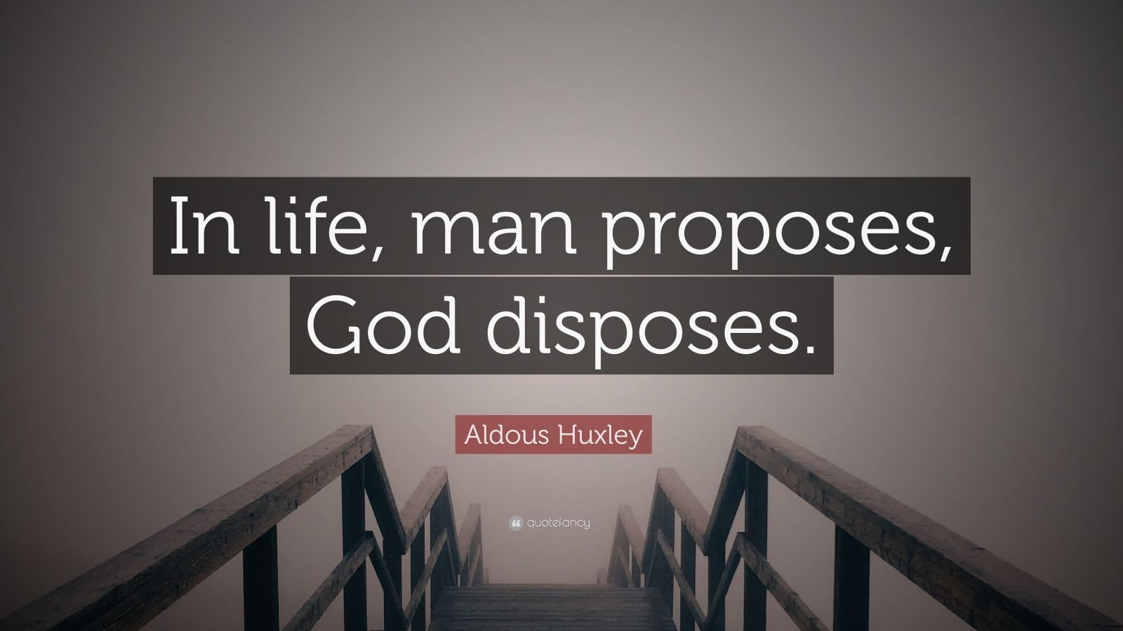 essay on man proposes god disposes