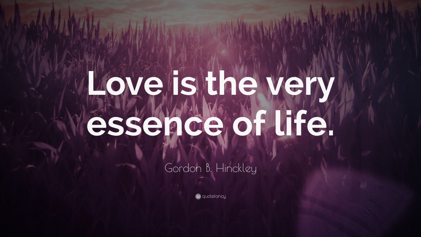 Gordon B. Hinckley Quote “Love is the very essence of life.” (12