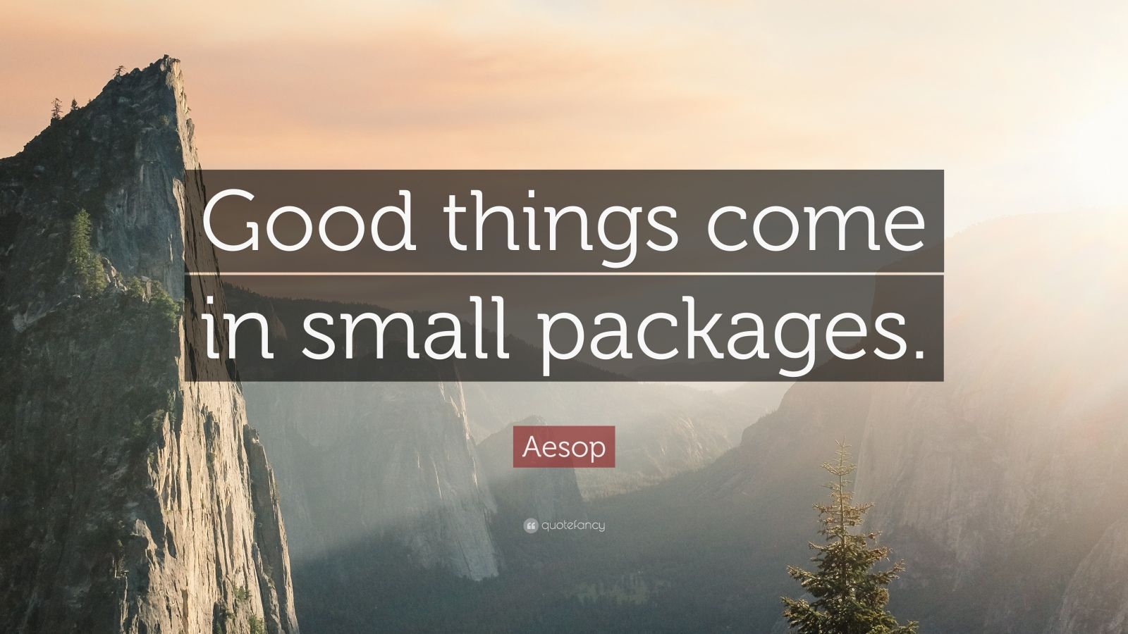 Aesop Quote “Good things come in small packages.” (12 wallpapers