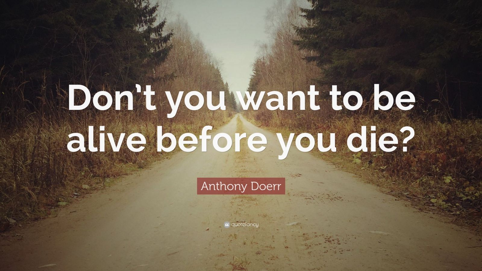 Anthony Doerr Quote: “Don’t you want to be alive before you die?” (12 ...