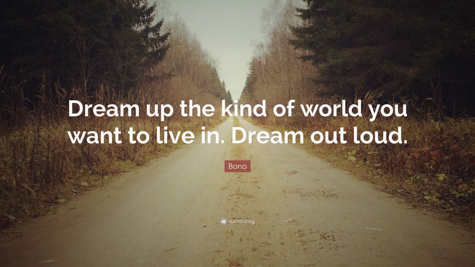 bono-quote-dream-up-the-kind-of-world-you-want-to-live-in-dream-out