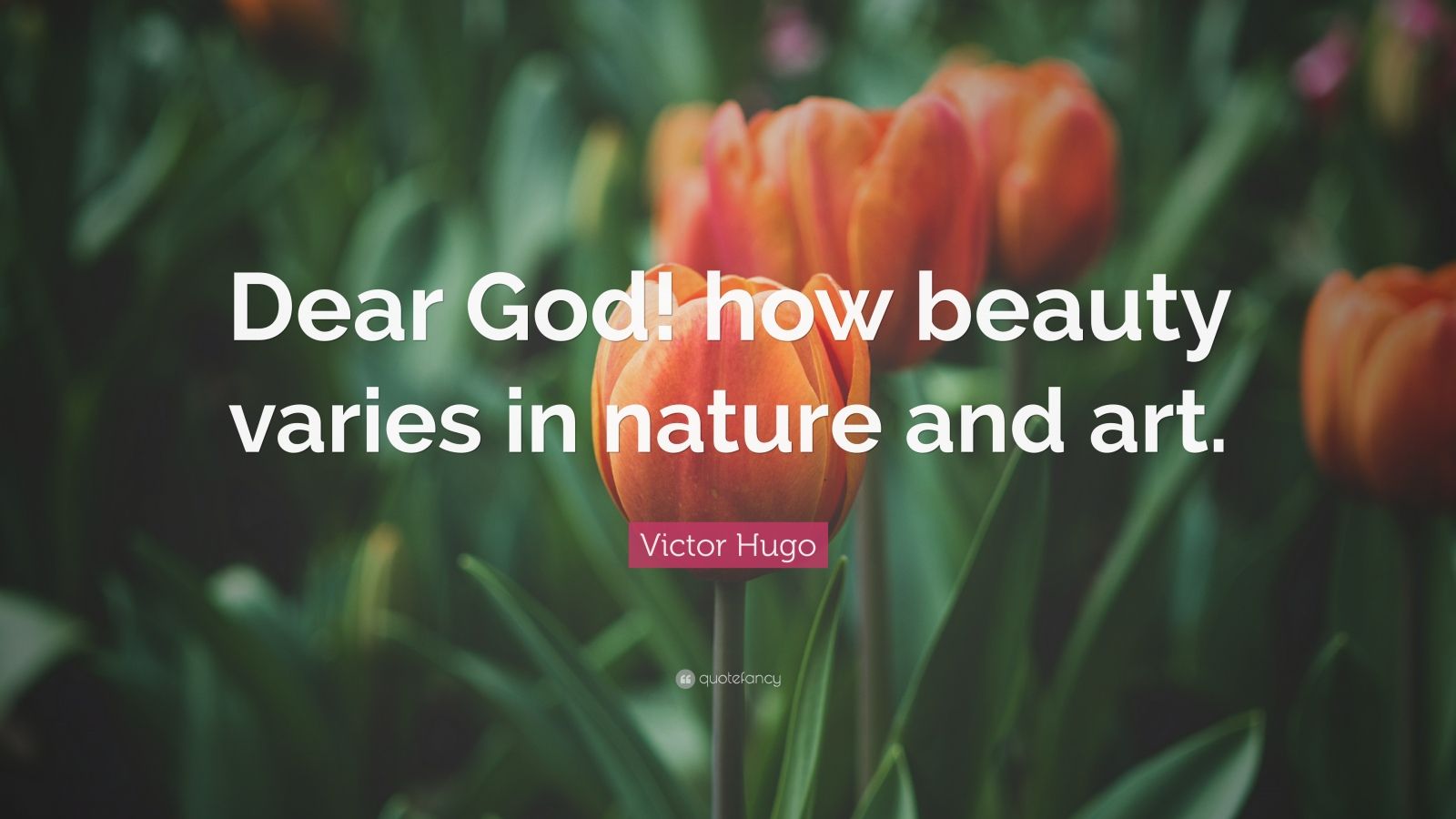 Victor Hugo Quote: “Dear God! how beauty varies in nature and art.” (7 ...