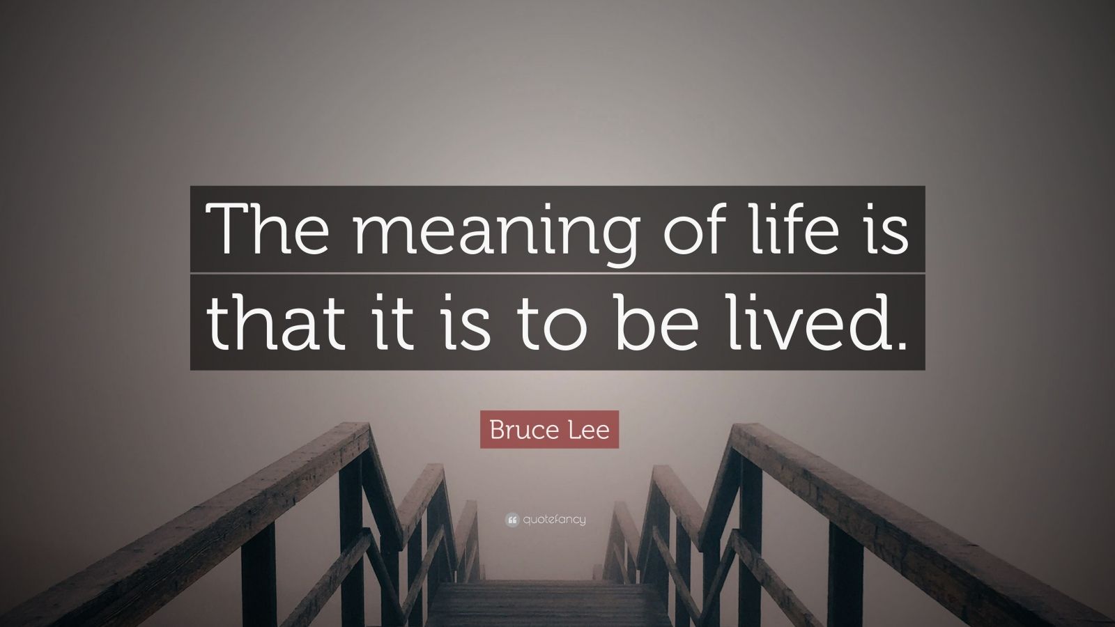  Meaning  Of Life  Quotes  40 wallpapers  Quotefancy