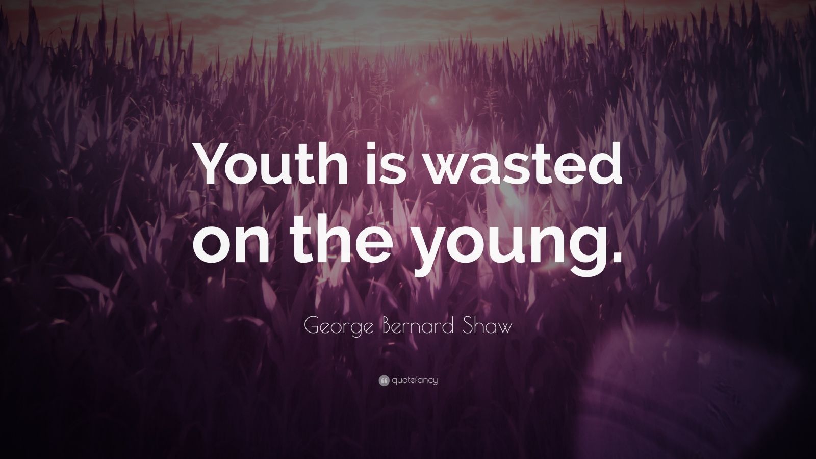 George Bernard Shaw Quote: “Youth is wasted on the young ...