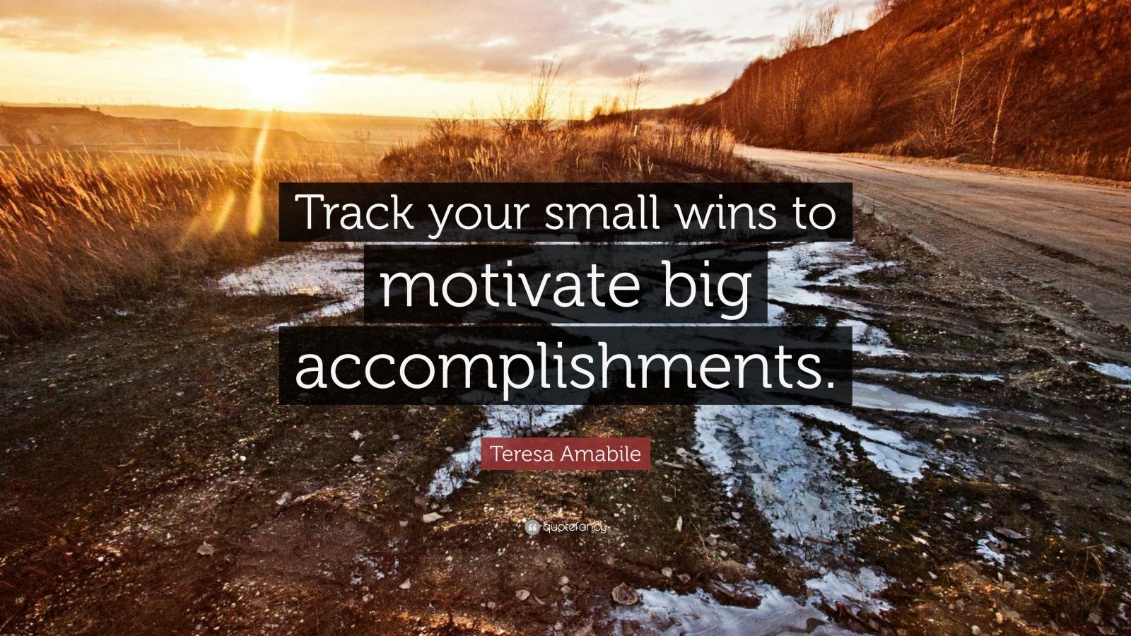 Teresa Amabile Quote “Track your small wins to motivate big
