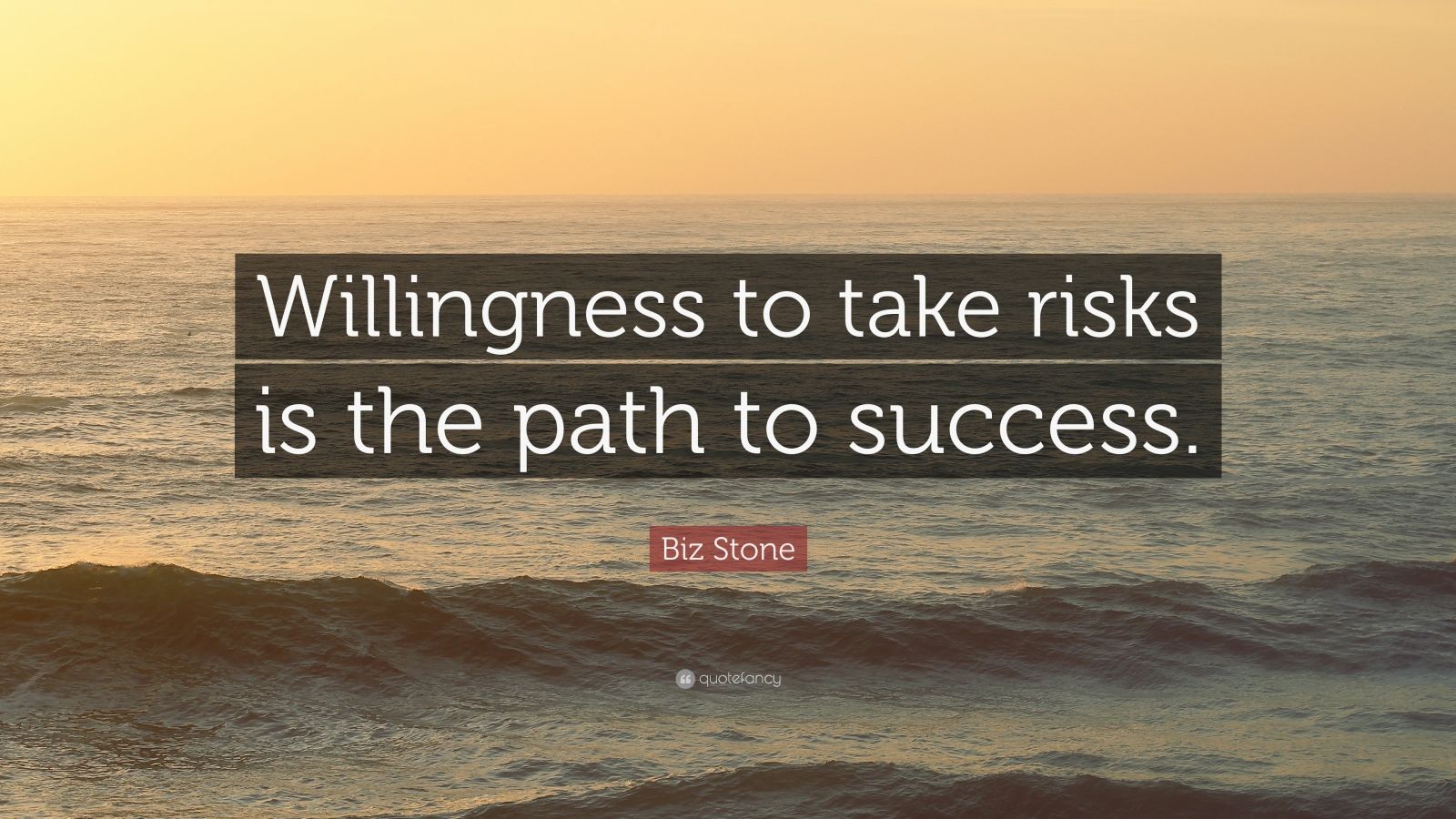 Biz Stone Quote “Willingness to take risks is the path to success