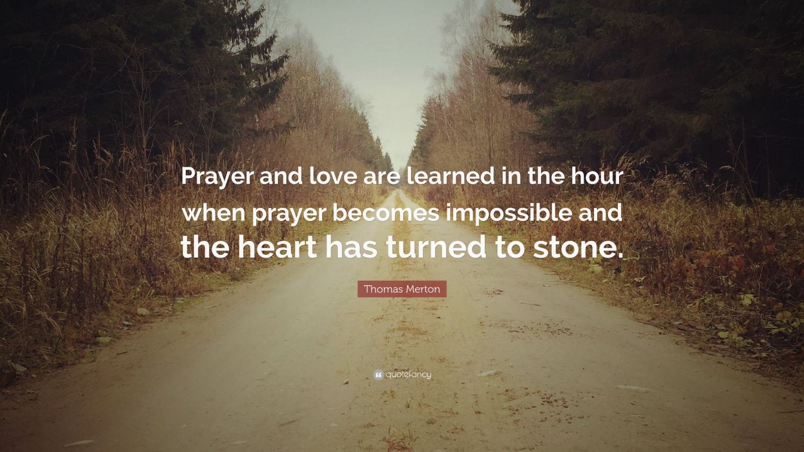 Thomas Merton Quote: “Prayer and love are learned in the hour when ...