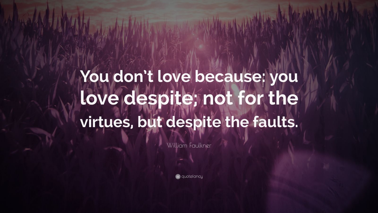 William Faulkner Quote: “You don’t love because: you love despite; not ...