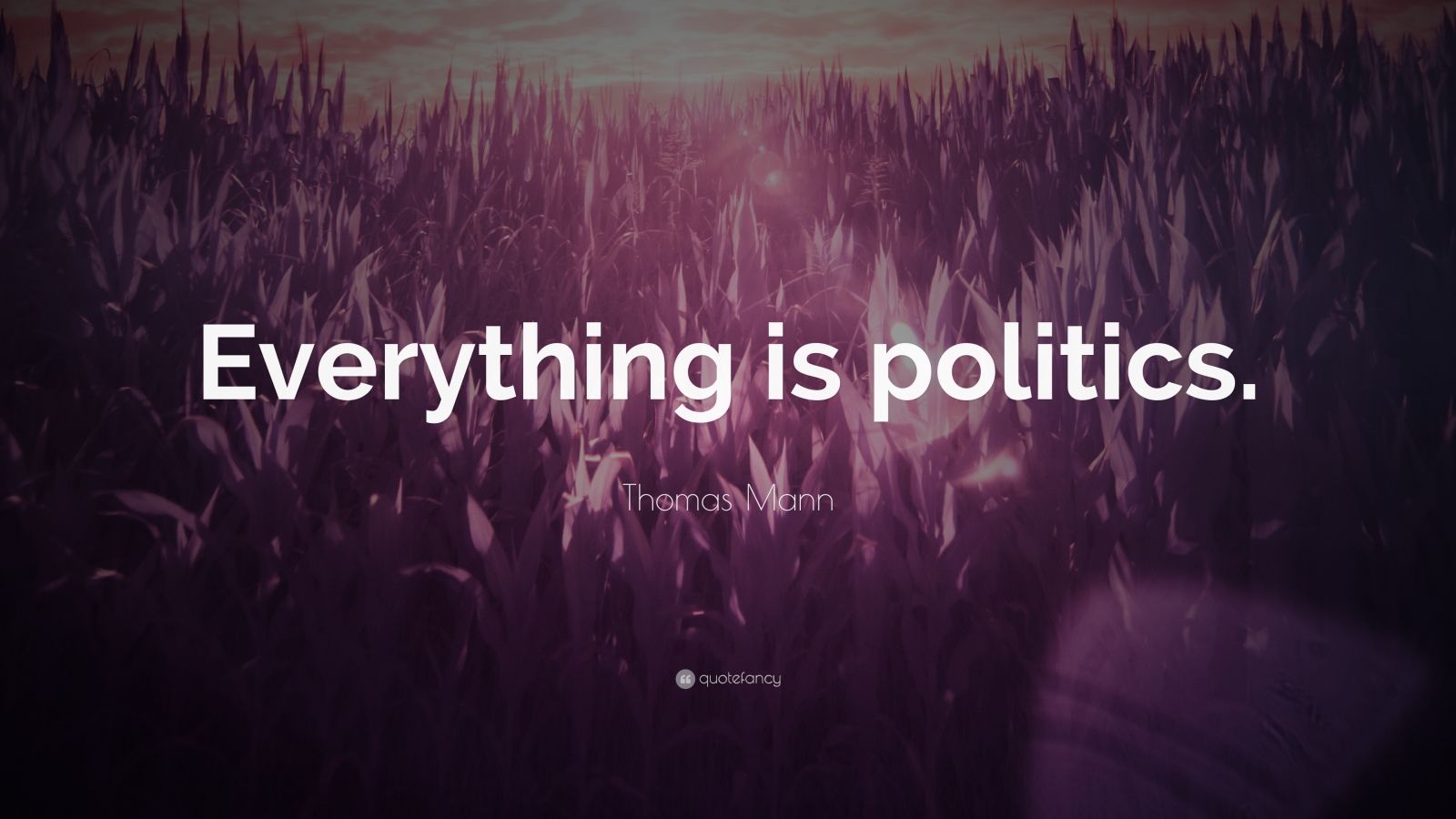 Thomas Mann Quote: “Everything is politics.” (11 wallpapers) - Quotefancy