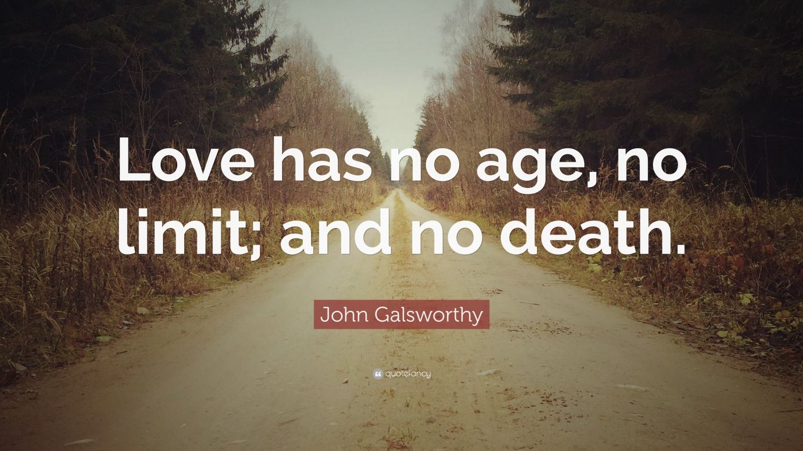 John Galsworthy Quote: "Love has no age, no limit; and no death." (10 wallpapers) - Quotefancy