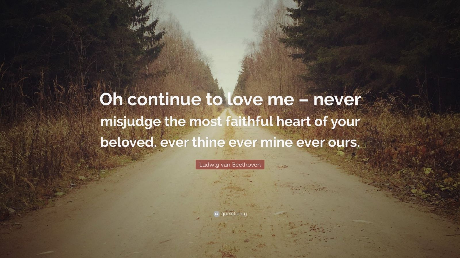 Ludwig van Beethoven Quote: “Oh continue to love me – never misjudge ...