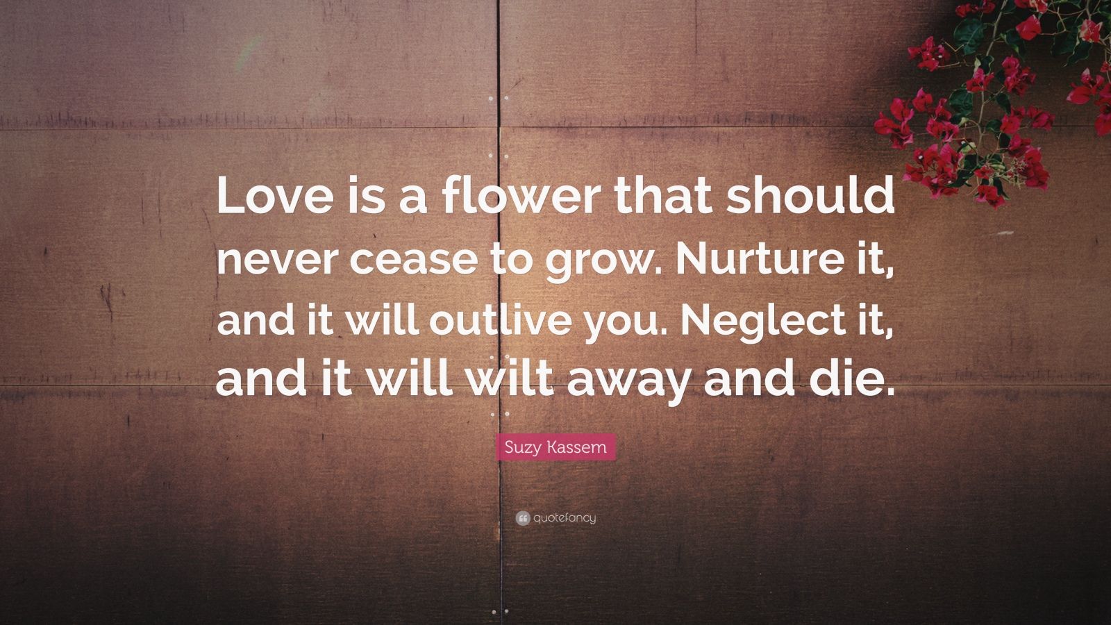 Suzy Kassem Quote: “Love is a flower that should never cease to grow ...