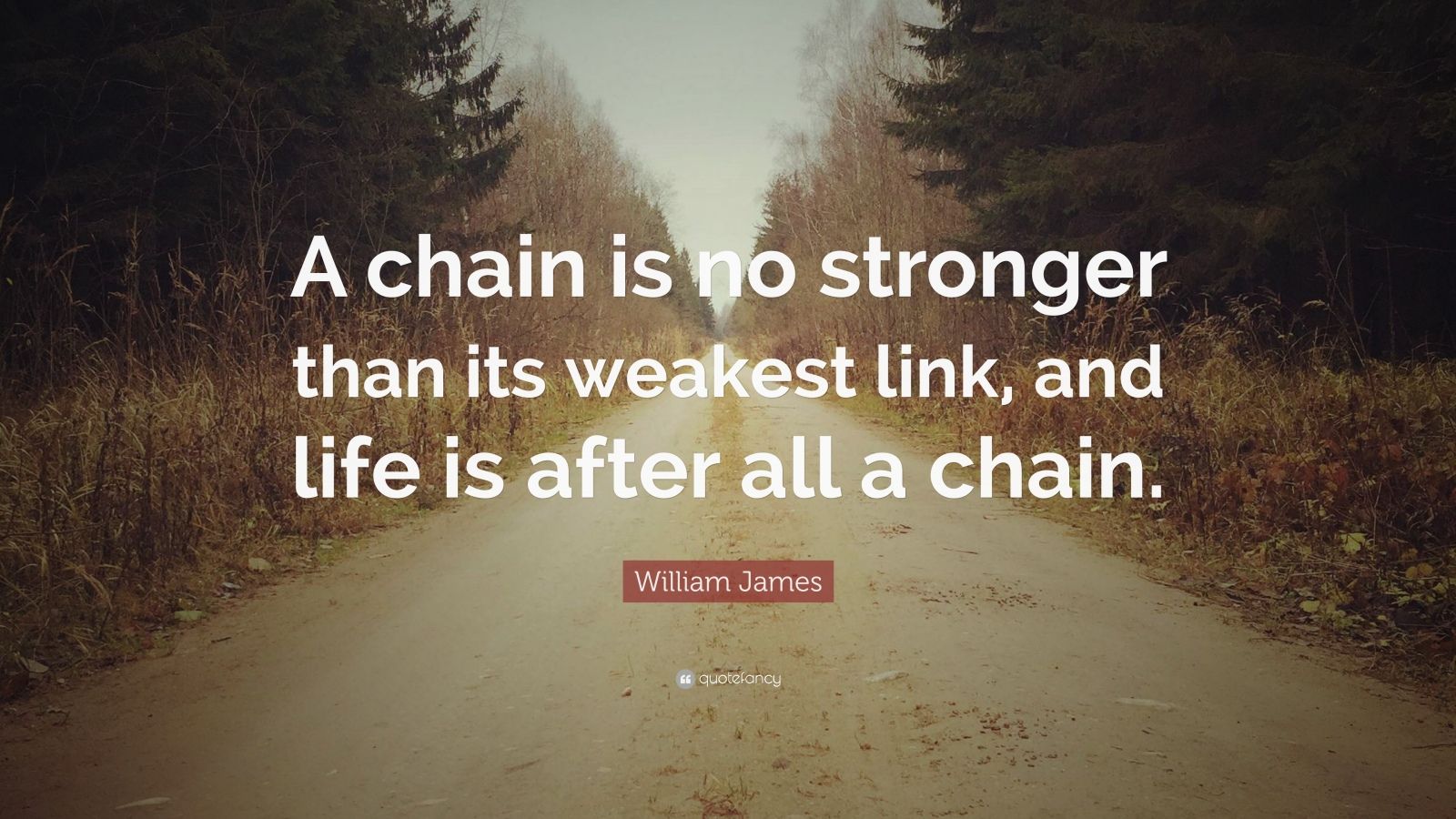 William James Quote “A chain is no stronger than its weakest link, and