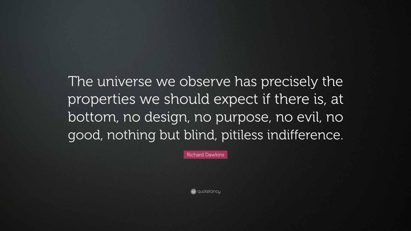 Richard Dawkins Quote: “The universe we observe has precisely the ...