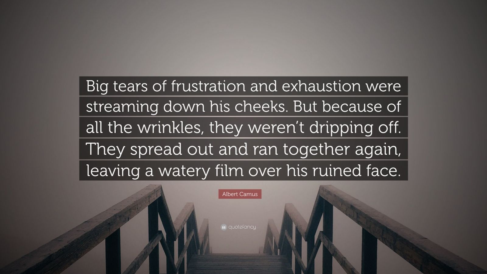 Albert Camus Quote: “Big tears of frustration and exhaustion were