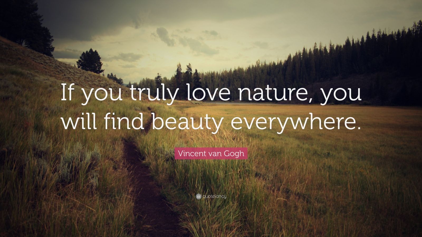 Vincent van Gogh Quote  If you truly love  nature  you 