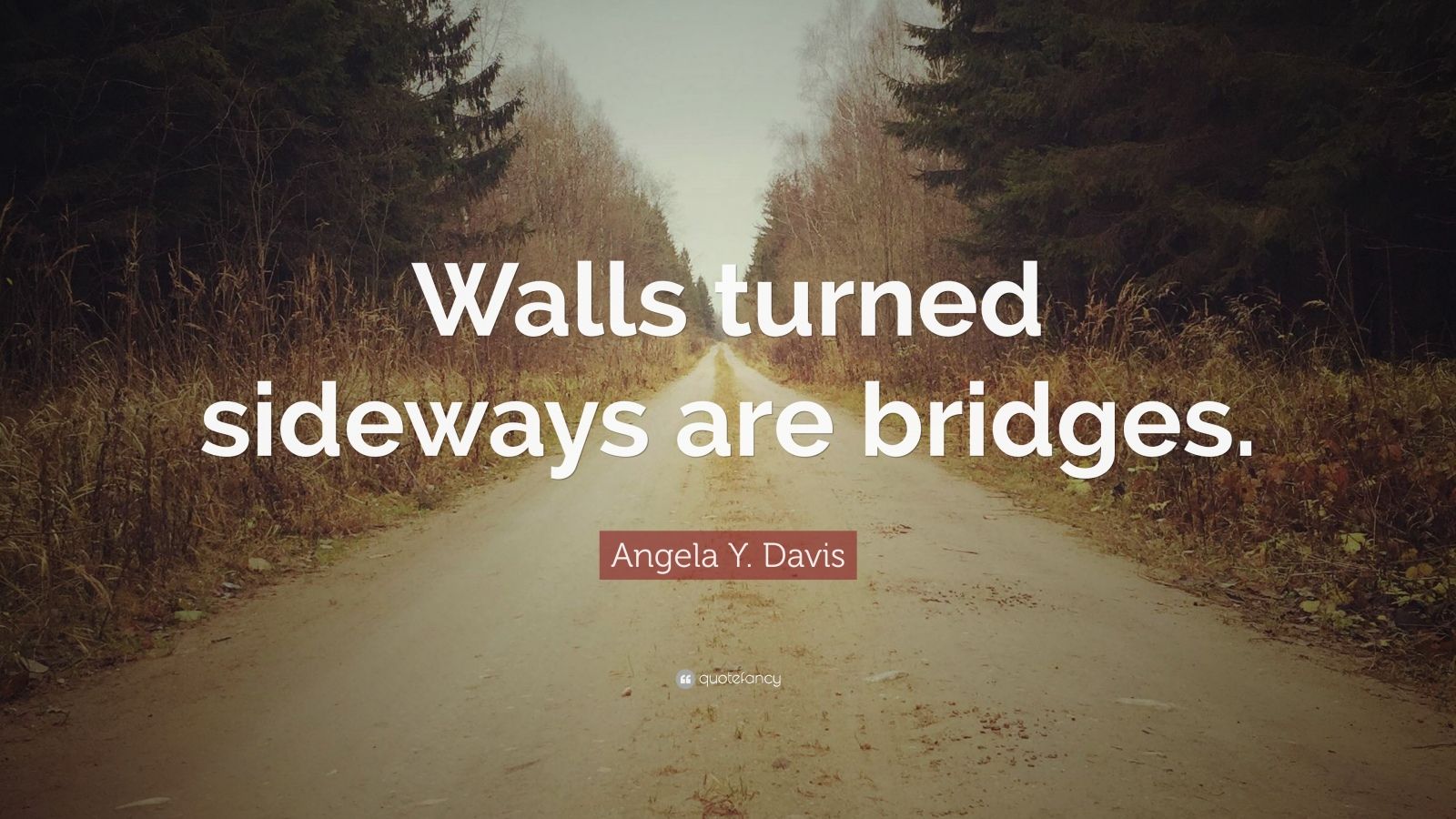 Angela Y. Davis Quote “Walls turned sideways are bridges.” (12