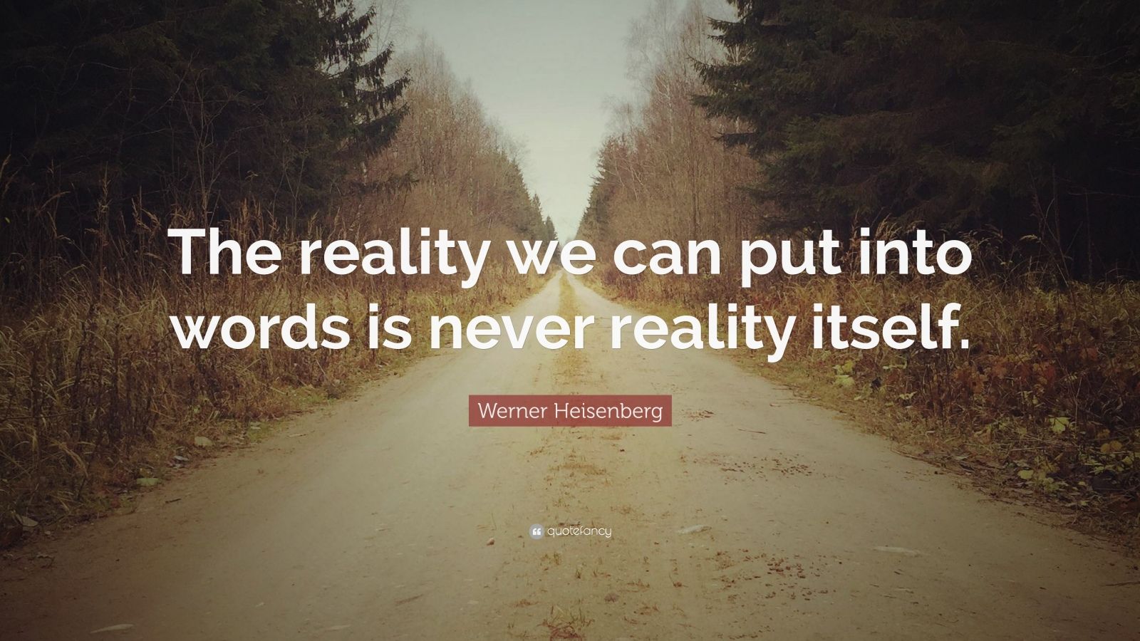 Werner Heisenberg Quote: “The reality we can put into words is never ...